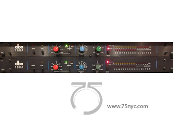 Enlarged view of image